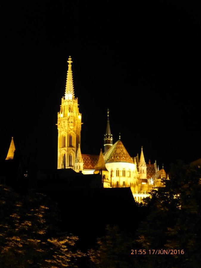 Elegant Apartment With Buda Castle View Budapest Luaran gambar